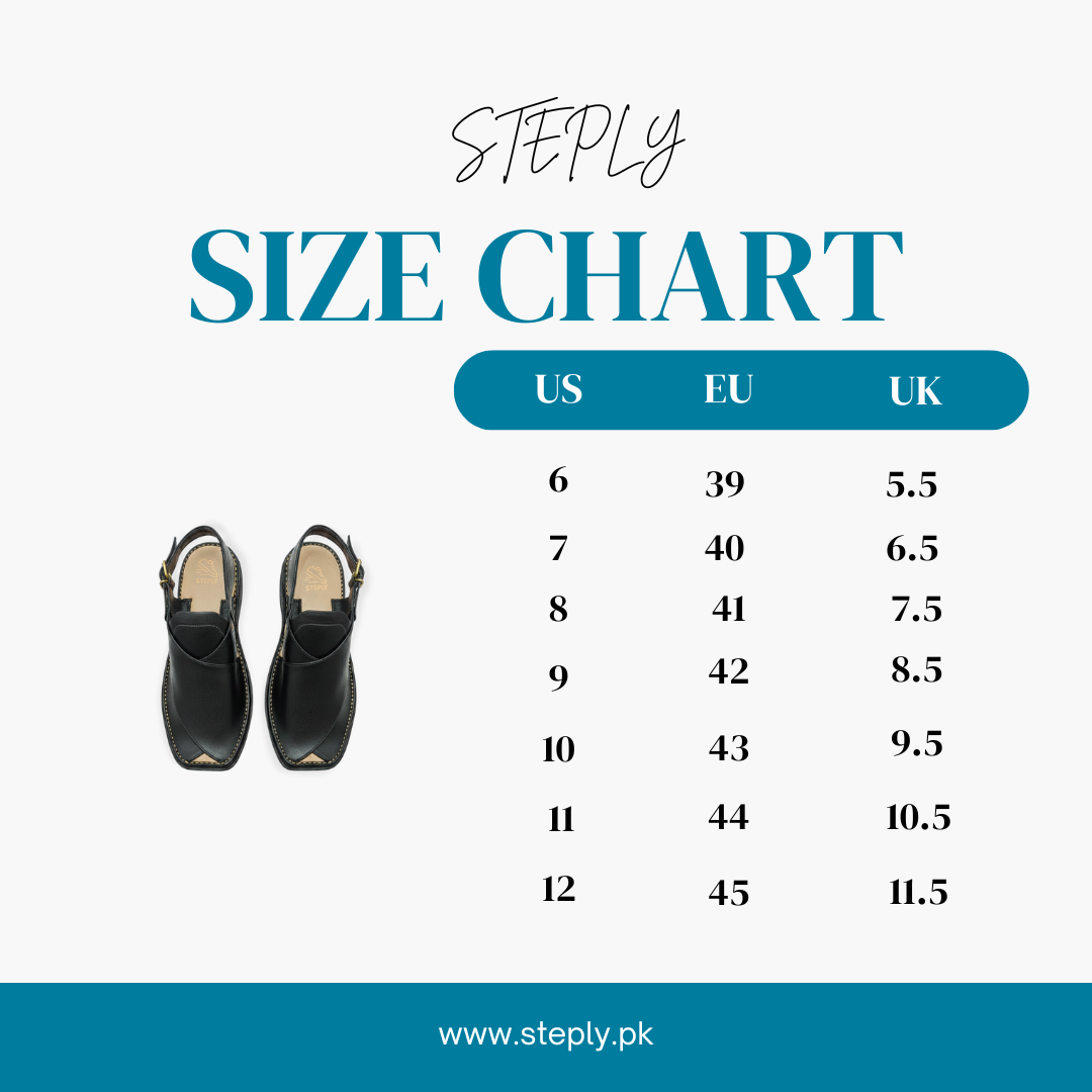 Black Zardari Shape Pishawari Chappal